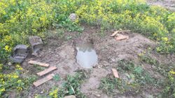 Adana’da, mezarlıkta cenin bulundu