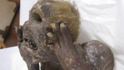 Japonya'da deniz kızı mumyası keşfedildi