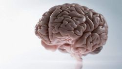 Beyin tümörleri nedir