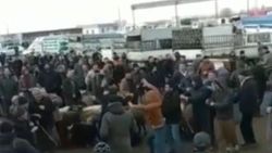 Iğdır'da hayvan pazarında sopalı kavga