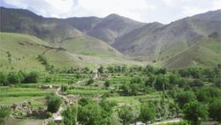 Hakkari'de düğün ve taziye için yeni düzenleme