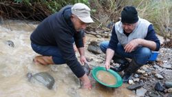 Denizli’de soğuk suda altın avı 