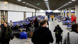 Almanya, 2 bin 500 Ukraynalı mülteciyi kabul edecek