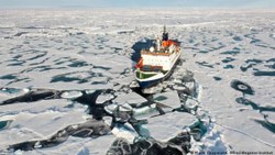 Arktik Okyanusu, 2035'e kadar tüm buzlarını kaybedecek