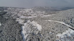 İstanbul'a kar geri geldi, Aydos Ormanı beyaza büründü 