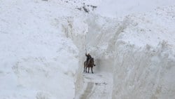 Van'da çığ nedeniyle metrelerce karın biriktiği köy yolunda tehlikeli yolculuk