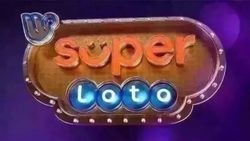 Süper Loto bilet sorgulama ekranı
