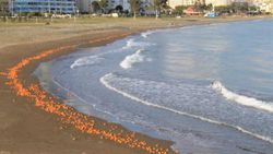 Mersin’de portakallar sahile vurdu
