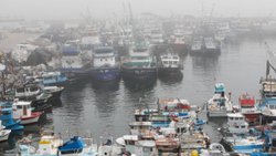 İstanbul Boğazı'nda balıkçıların mayın tedirginliği 