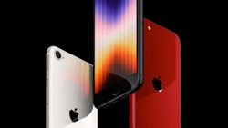iPhone SE 3, Apple'ın beklentilerini karşılayamadı