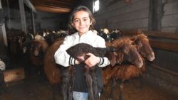 Kars'ta kışın ardından doğan oğlak ve kuzular besicileri mutlu etti