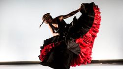 İBB, flamenko dansçısına 400 bin lira ödeme yaptı