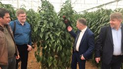 Rusya Türkiye'den yaş meyve ve sebze ithalat yasaklarını kaldırdı