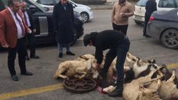 Ankara'da serbest kalınca kurban kesen dolandırıcı avukata tutuklama