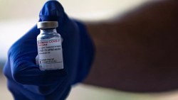 İspanya’da koronavirüs aşı şişesinin içinden sivrisinek çıktı