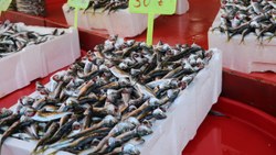 Rize'de sezonun son balıkları tezgahlarda yerini aldı