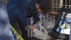 Şanlıurfa'da bomba sanılan valizden 7 kilo esrar çıktı