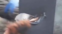 Mermi, Ukraynalı askerin cep telefonuna saplandı