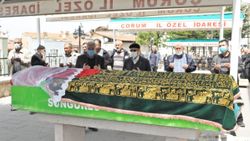 Çorum'da sokak köpeğine çarpmamak için canından oldu 