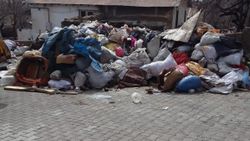 Bitlis'te yaşlı kadının evinden 2 kamyon çöp çıkarıldı