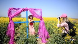Trakya'nın verimli toprakları fotoğrafçıların ilgi odağı