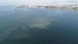 İstanbul sahillerinde müsilaj tedirginliği