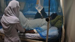 Kırklareli İl Sağlık Müdürlüğü: Türkiye'deki sıtma vakaları yurt dışı kaynaklı