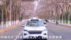 Sürücüsüz taksiler Pekin yollarında