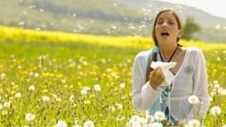 Polen alerjisi olanlar uzmanından uyarı: Kıyafetleri açık havada kurutmayın