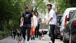 İstanbul'da köpek gezdirip kazanç sağlıyorlar