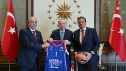 Cumhurbaşkanı Erdoğan, Anadolu Efes'i kabul etti