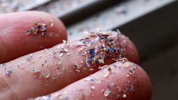 Antarktika'ya ilk kez mikroplastik yağdı