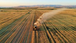 Ukrayna, ekilebilir tarım alanlarının yüzde 25’ini kaybetti