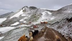 Rize'de Tahpur Yaylası beyaza büründü