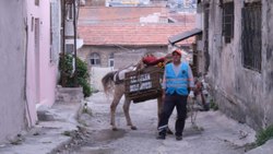 Hatay'da araçların giremediği sokaklarda çöpler atlarla toplanıyor