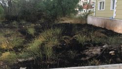 Muğla'da çıkan yangın, büyümeden söndürüldü