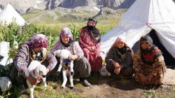 Munzur dağı eteklerindeki yaylada çadırlarda mutlu hayat