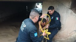 Meksika'da selde mahsur kalan vatandaş kurtarıldı