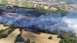 Çanakkale'de orman yangını çıktı