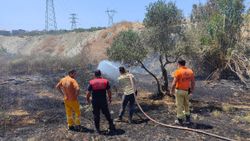 Aydın'da araziye atılan cam şişeleri zeytinlikte yangın çıkardı