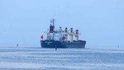 Ukrayna limanlarından 4 gemi daha hareket etti