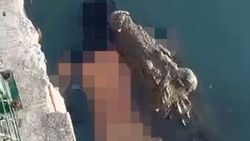 Meksika'da dev timsah, boğduğu adamı taşırken görüntülendi