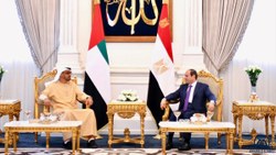 Mısır ve BAE'den bölgedeki zorluklar karşısında Arap birliğinin önemi vurgusu