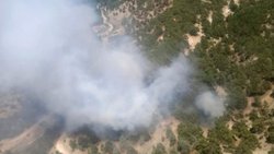 Kaş'taki orman yangınında 1 dekar alan zarar gördü