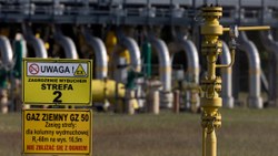 Rusya'nın Avrupa'ya gaz akışını kesmesi, kıtada endişelere yol açtı