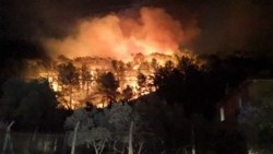 Muğla'nın Ula ilçesinde orman yangını çıktı