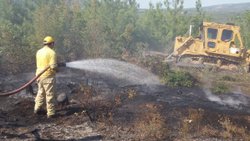 Akhisar'da çıkan orman yangını söndürüldü
