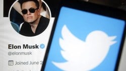 Elon Musk's bot account prediction is wrong