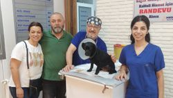 Adana'da 'Biber' isimli köpeğin mesanesinden 55 parça taş çıktı