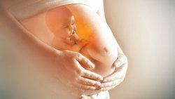 Hamile kalmanın yolları nelerdir? Folik asit tedavisi nedir? Doğal yolla gebe kalmanın yöntemleri!
